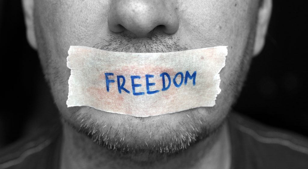 The importance of freedom of expression for human development Voice