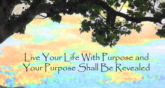 Live your life with a purpose  