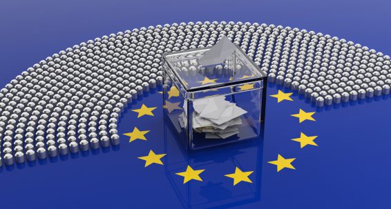 European Elections  