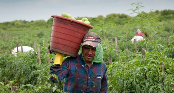 Protecting migrant workers from exploitation in the EU  