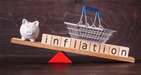 Introducing My ĠEMMA Inflation Purchasing Power Calculator  