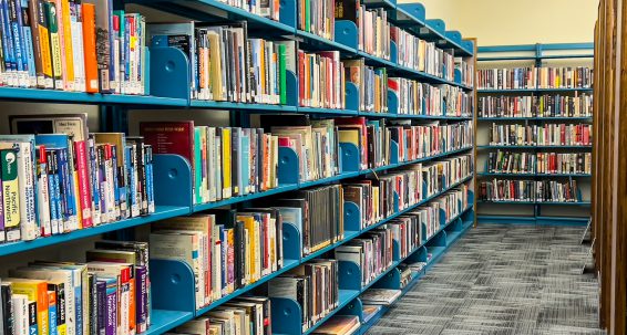 More books being loaned from libraries  